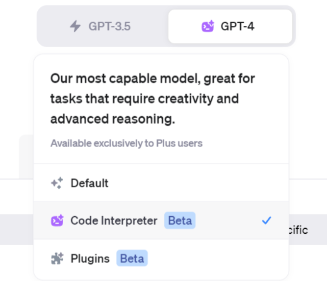 Code Interpreter